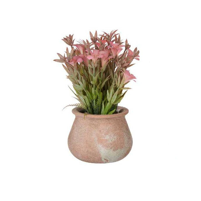 Terracotta Pot With Flowers Low Assort 3 Colors