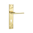 Door Handle GOLD