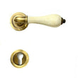 Lever Handle With Rossette