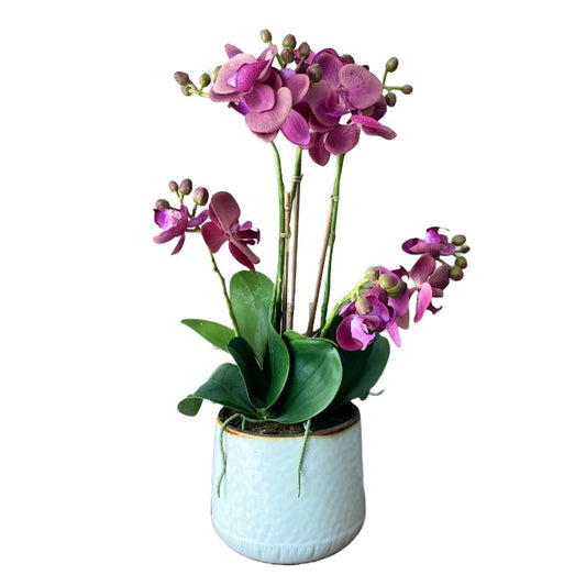 Faux Orchid Arrangement in White Pot