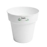Round Flower Pot 15cm (Made in Portugal)