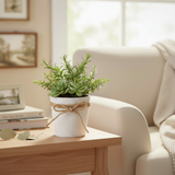 White Fabric Flower Pot With Bow 10x10cm