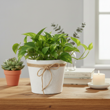 White Fabric Flower Pot With Bow