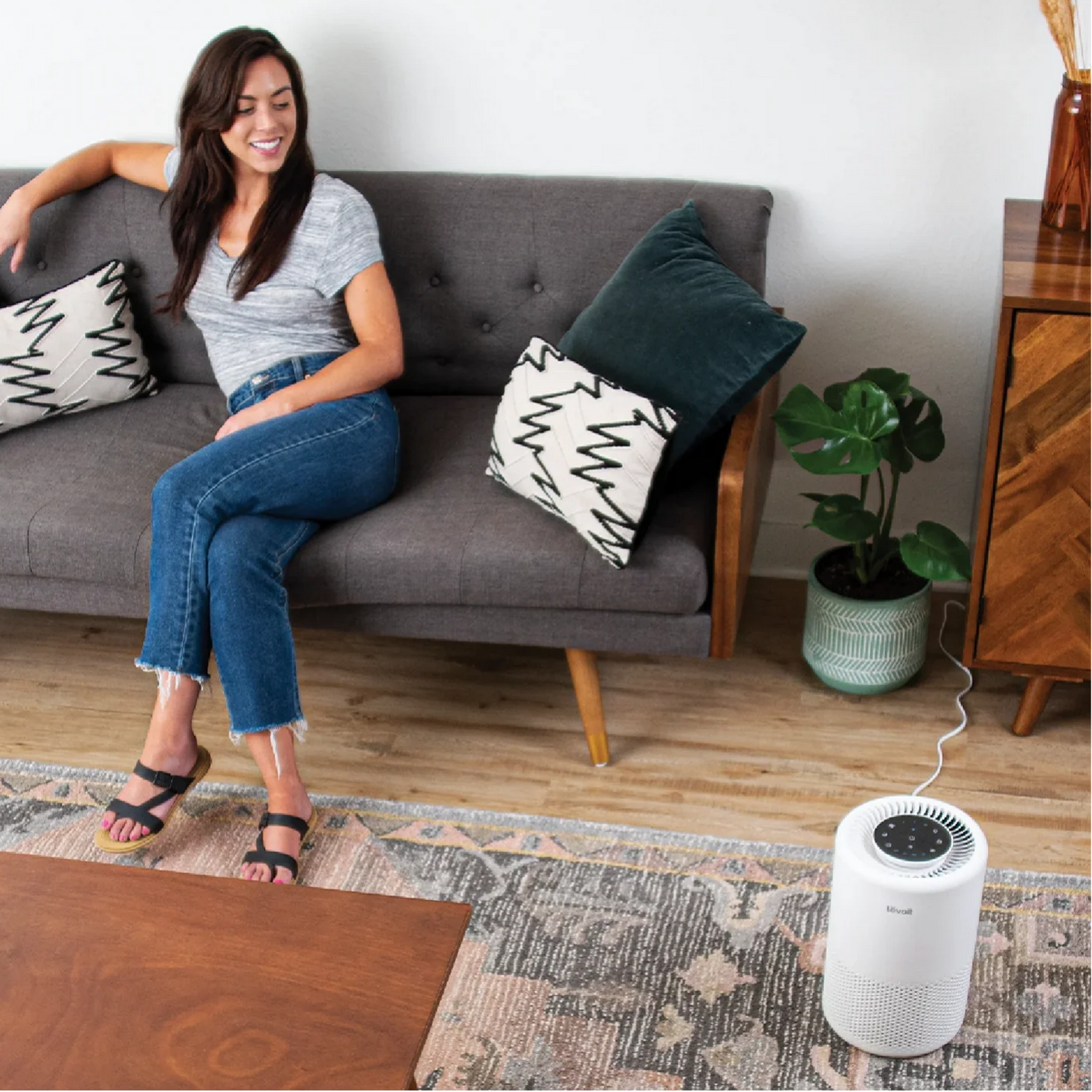 Levoit Core 200s Smart Air Purifier