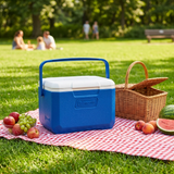 Blue Coleman mini ice cooler with white lid and carry handle, on a picnic tablecloth