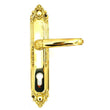 Lever Handle With Small Plate Polish Brass
