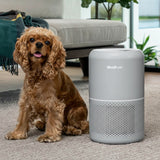 Levoit Core P350 Pet Care Air Purifier