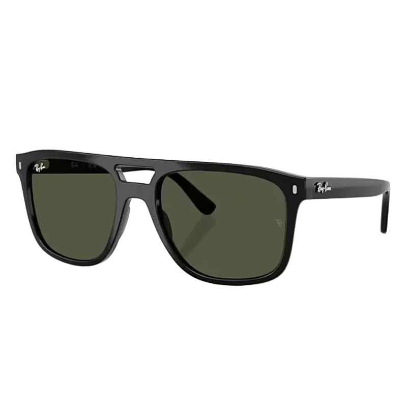 Ray-Ban Sunglass Black RB2213