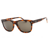 Zegna Sunglass Dark Havana With Green Lenses