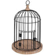 Metal Bird Cage