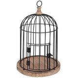 Metal Bird Cage