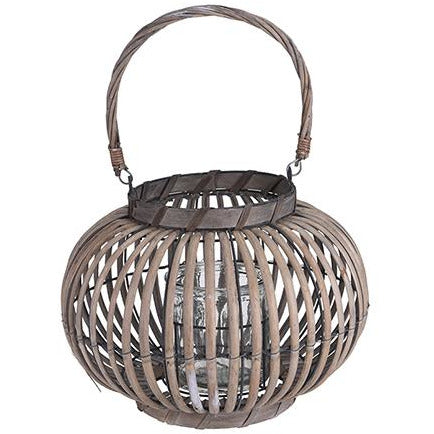 Lantern Split Willow