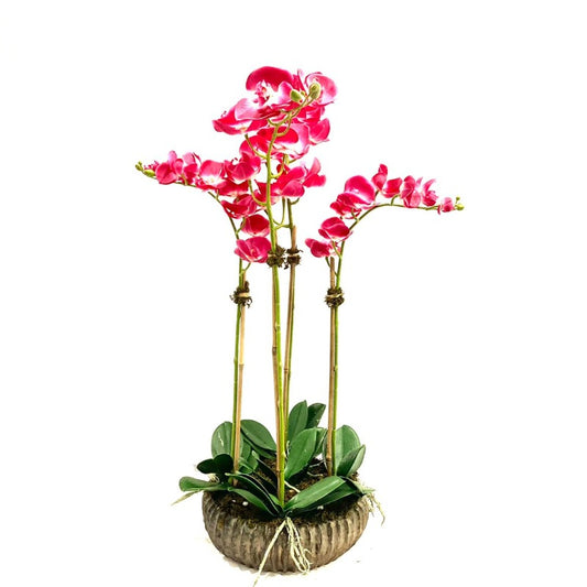 Vintage Orchid Arrangement