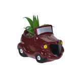 Plant in Pot in Car Design
