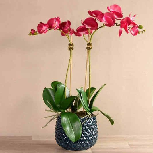 Pearl Orchid Arrangement
