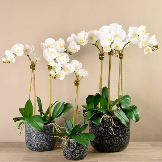 Artificial Orchid Arrangement (Set of 3)