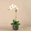 Artificial Orchid Arrangement