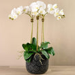 Artificial Orchid Arrangement