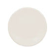 Porcelain Flat Plate