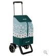 Shopping Trolley
