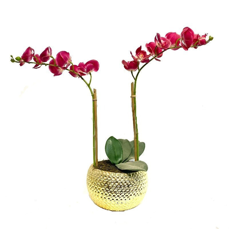 Pink Orchid Arrangement in Gold Vase