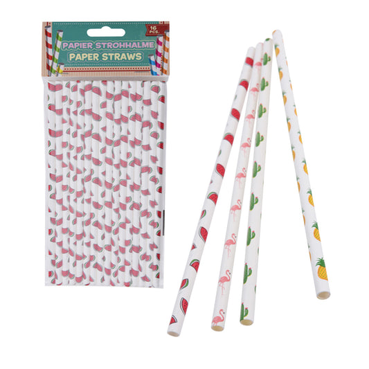 Drinking Straws (Pack of 4)