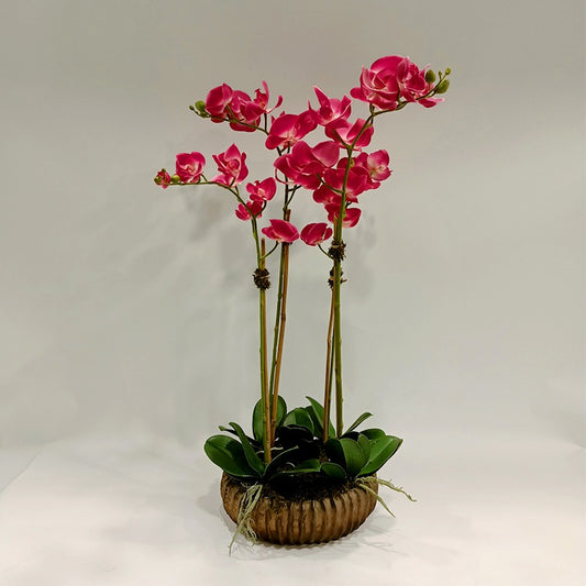 Vintage Orchid Arrangement