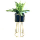 Metal Planter (Set of 2)