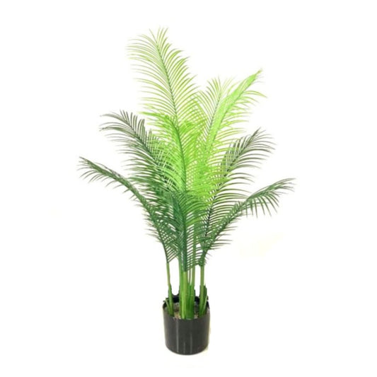 Areca Palm Tree in Pot 100CM