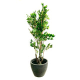 Artificial Ficus Tree 170cm