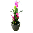 Pink Orchid Tree in 130cm