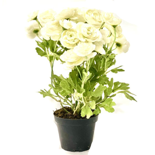 Artificial Gerbera Flower in Pot