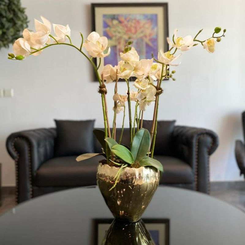 White Orchid Arrangement