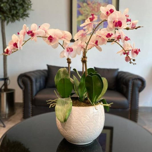 Light Pink Orchid Arrangement