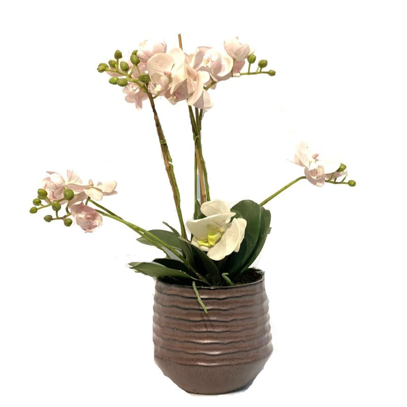 Pink Orchid Arrangement in Vintage Pot