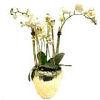 Faux Orchid Arrangement in Gold Vase