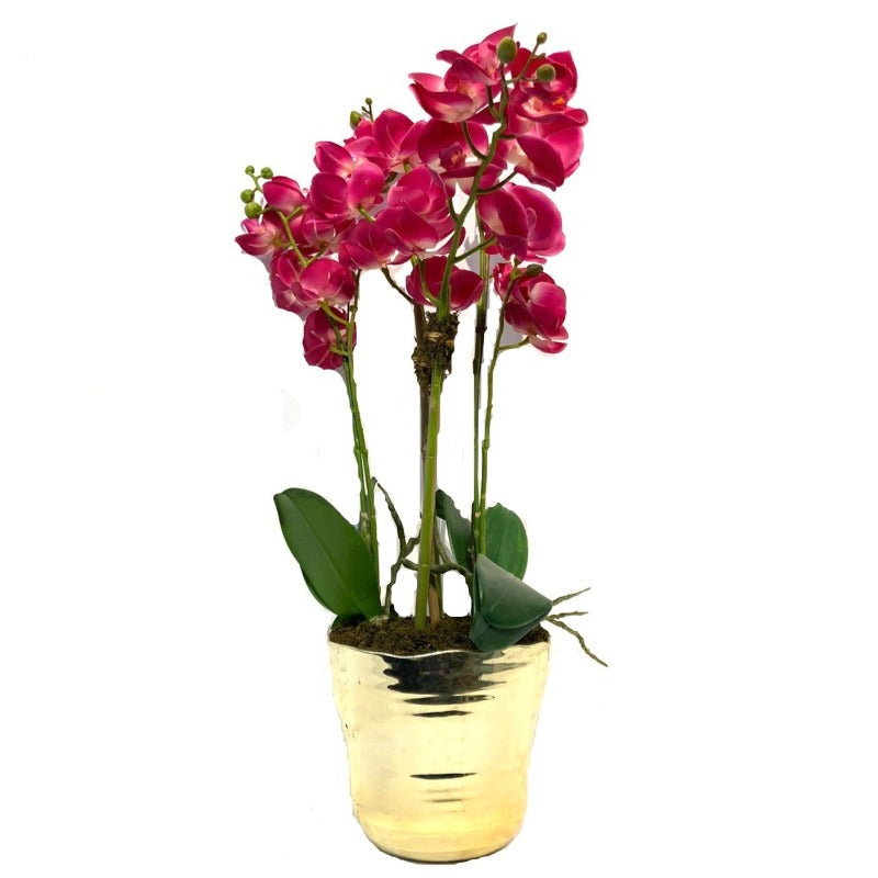 Pink Orchid Arrangement in Gold Vase