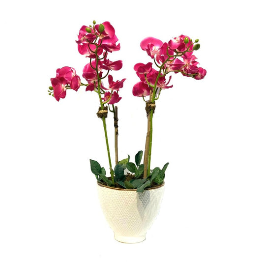 Pink Orchid Arrangement in White Vase