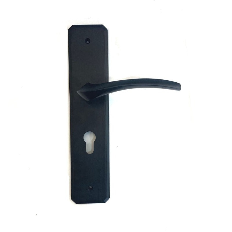 Black Door Handle with Lock & Cylinder