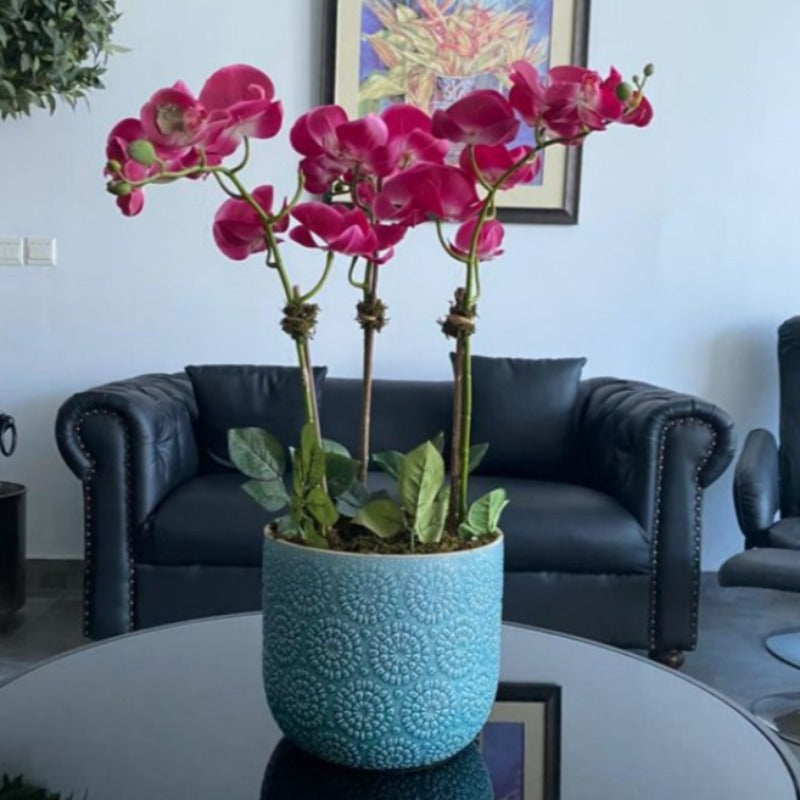 Pink Orchid Arrangement
