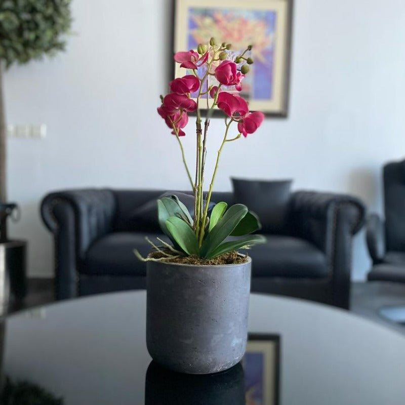 Faux Orchid Arrangement in Cement Pot