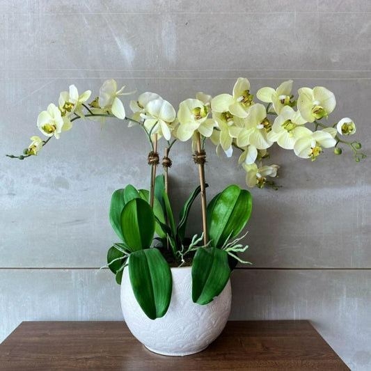 Yellow Orchid Arrangement In White Ceramic Vase