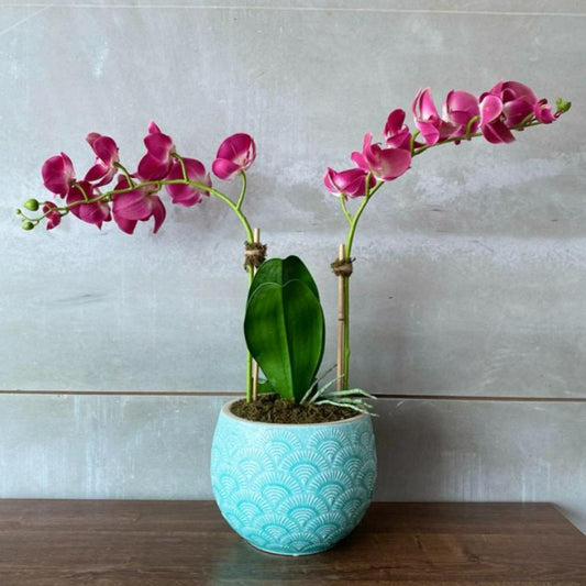 Pink Orchid Arrangement In Blue Turquoise Vase