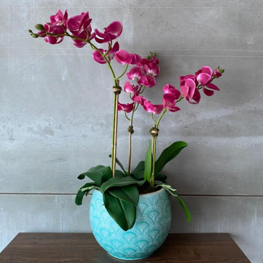 Pink Orchid Arrangement In White Ceramic Vase