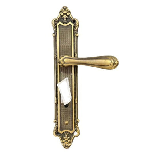 Brass Main Door Handle