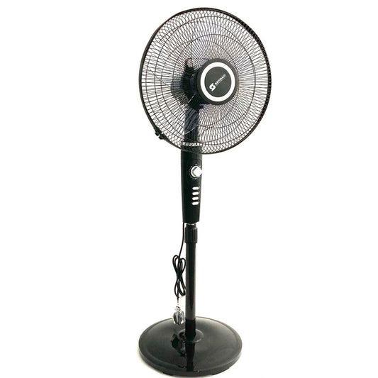 Pedestal Fan