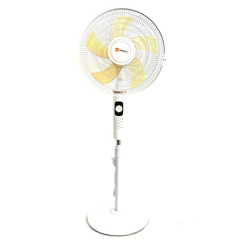 Pedestal Fan