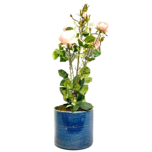 Flower Arrangement in Blue Pot