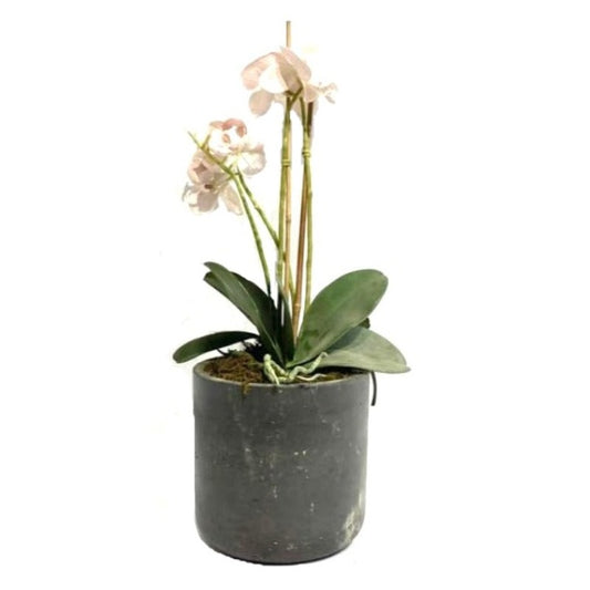 Faux Orchid Arrangement in Cement Pot