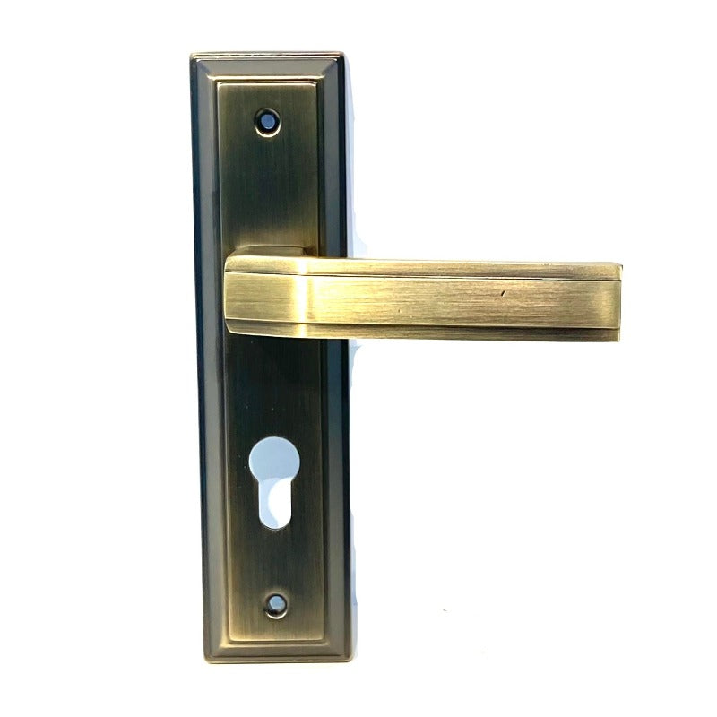 Door Handle with Lock & Cylinder